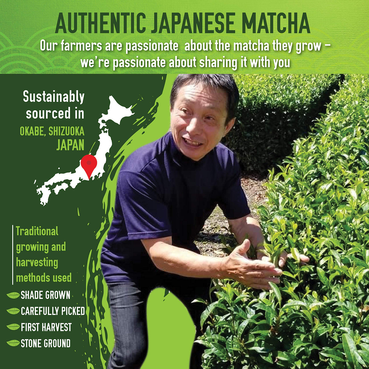 Matcha Organics - Premium Ceremonial Grade Matcha Green Tea Powder - Authentic 1st Harvest Japanese Green Tea - USDA & JAS
