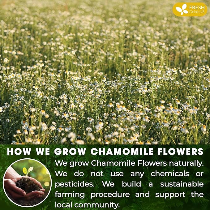 FRESHDRINKUS, Premium 135 Chamomile Tea Bags, 100% Natural and Pure Chamomile Flowers, Eco-conscious Tea Bags. Herbal Tea. No Sugar, No Caffeine, No Gluten, Vegan.