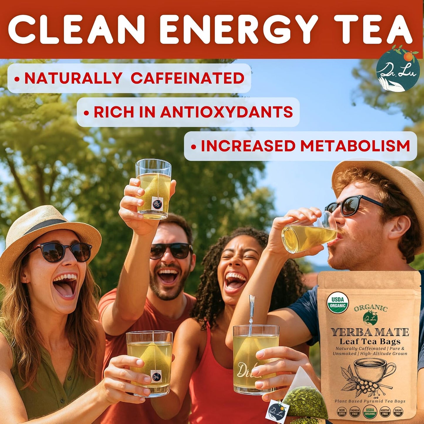 Dr. Lu’s Organic Yerba Mate Tea (Unsmoked) | High-Altitude Grown in Argentina | Naturally Caffeinated Clean Energy &amp; Focus | 30 x 3g Vitality Brew Corn Fiber Pyramid Bags (No Plastic, No Nylon)