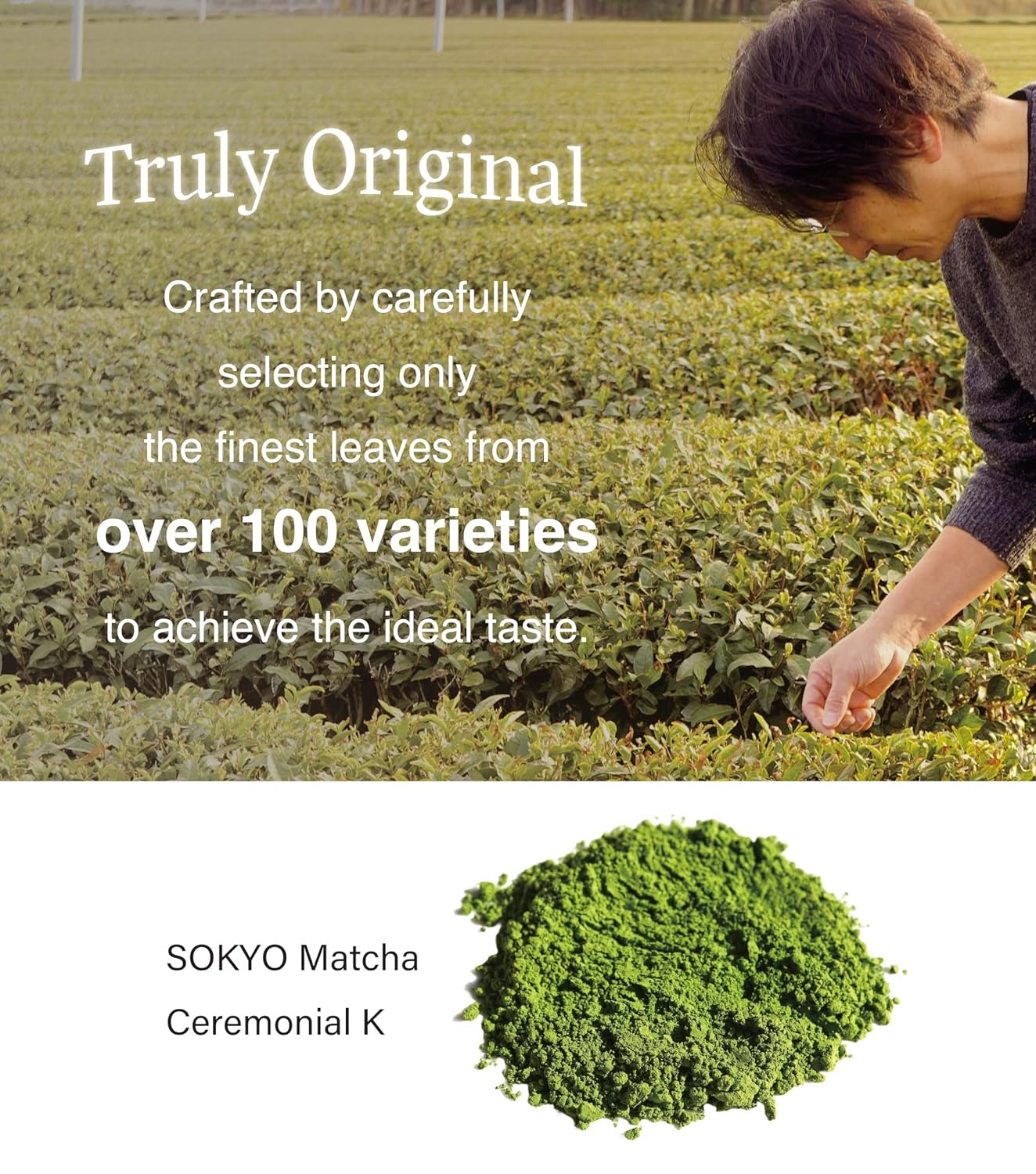 SOKYO ceremonial matcha series 3.5oz Powdered green tea Japanese matcha (3.52oz / 100g, Mie Ceremonial K)