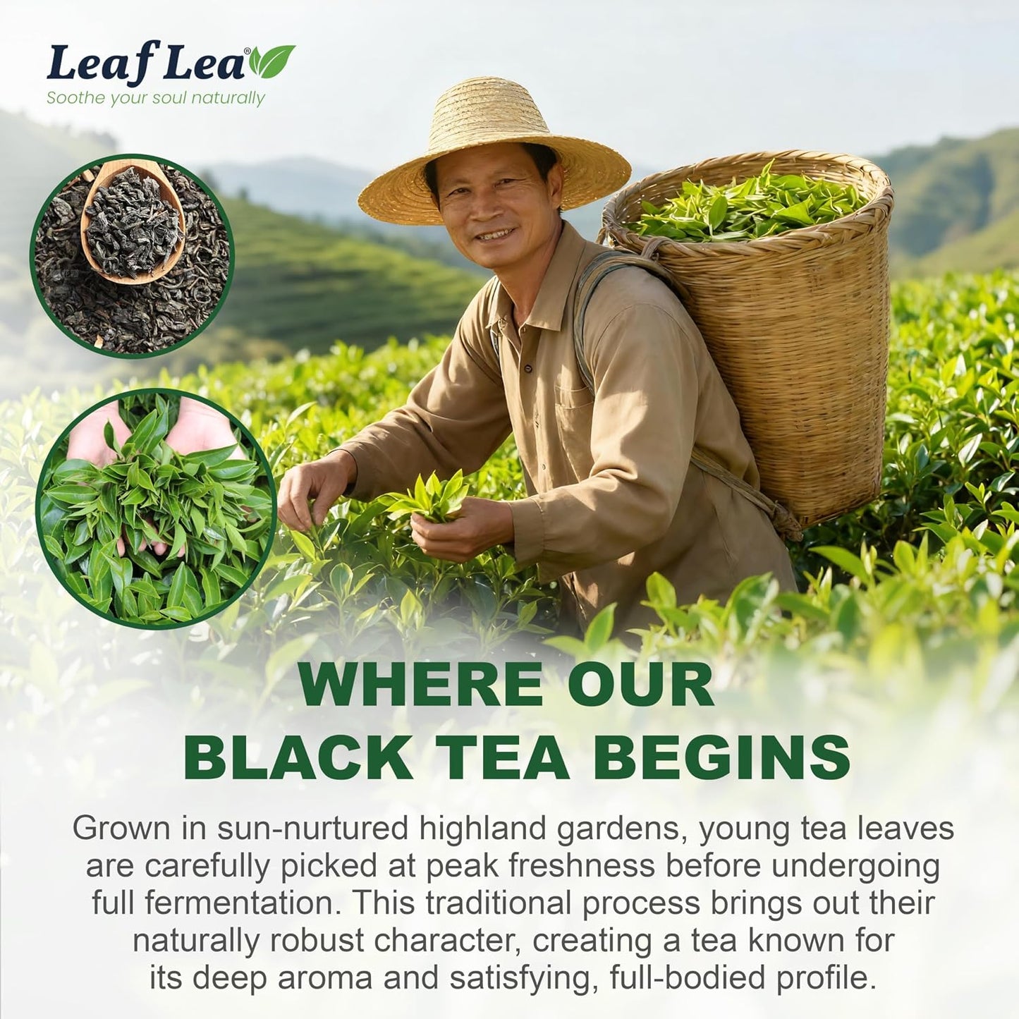 LeafLea Black Tea Bags, Strong Full-Bodied Black Tea Leaves, 40 Count | Bold, Naturally Caffeinated Morning Brew with Smooth Malty Finish; Sugar-Free, Vegan; Individually Foil-Wrapped