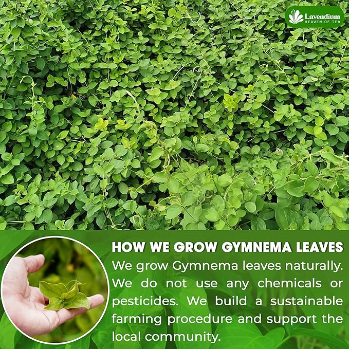 Lavendium Premium Gymnema Leaf Tea Bags, 120 Count – Cold-Dried, No Sugar, Vegan
