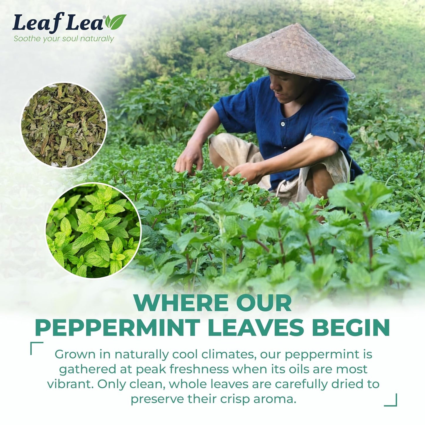LeafLea Peppermint Tea Bags, Pure Peppermint Leaf Tea, 80 Count, 2-Pack | Real Mint Tea Bags With Smooth, Cooling Flavor, Caffeine-Free, Vegan, Individually Foil-Wrapped, Great To Share