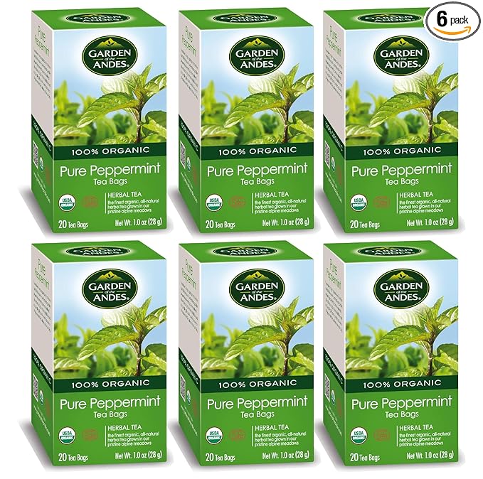 Garden of the Andes - Peppermint Tea - 6 x 20 Tea Bags (120 Count) - USDA Organic Caffeine-Free Herbal Infusion