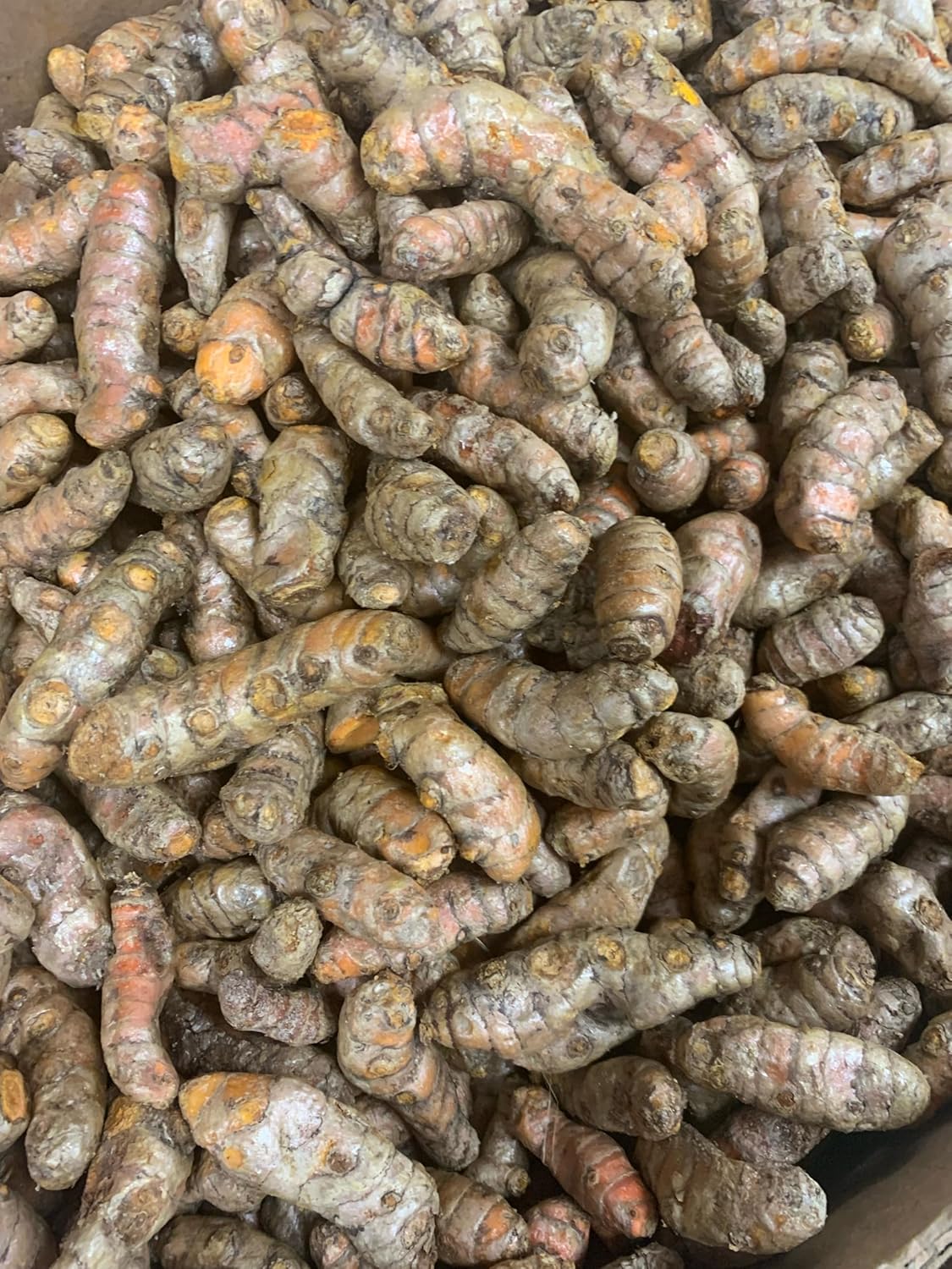 Fresh Yellow Turmeric Root - 1lb