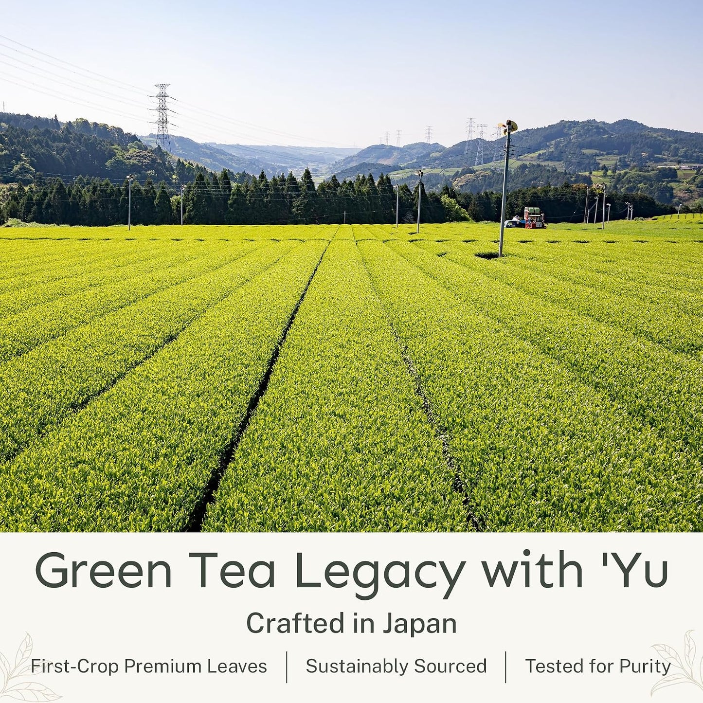 Yu Tea Organic Ceremonial Grade Matcha Powder, 50 Servings | Packed with Antioxidants, L-Thanine &amp; Natural Caffeine | Unsweetened Grade A Japanese Matcha Powder | Resealable Pouch, 2.65 oz