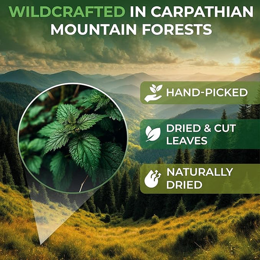 1.8 oz. Dried Nettle Leaf Tea Ortiga Planta Stinging Nettle Leaf Herb (Urtica Dioica) - 50g Herbal Tea Ortiga Verde Te