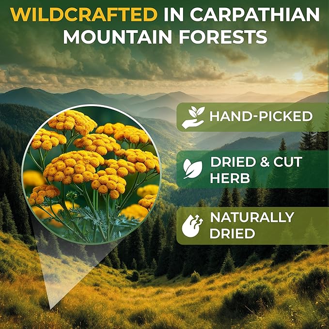 1.8 oz. Pishma Tea Tansy Flowers Herbal Tea (Tanacetum Vulgare L.) - 50g Dried Cut Tansy Flowers Herb