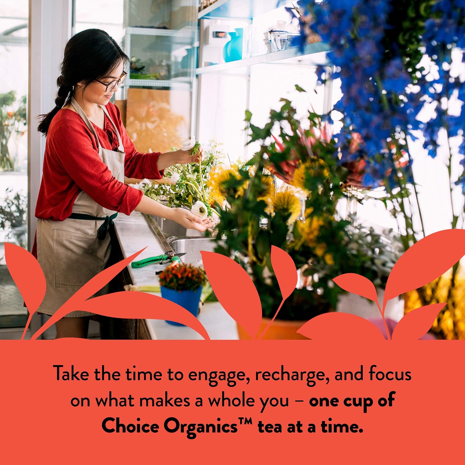 Choice Organics - Organic English Breakfast Tea (6 Pack) - Fair Trade - Compostable - Contains Caffeine - 96 Organic Black Tea Bags
