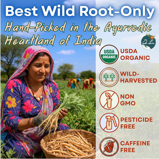 Dr. Lu’s Organic Ashwagandha Tea | Wild-Harvested in India’s Ayurvedic Regions | 100% Natural Calm &amp; Stress Support | 30 x 3g Full Strength Corn Fiber Pyramid Bags (No Plastic, No Nylon)