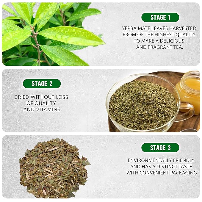Yerba Mate Tea - Green Cut & Sifted - Unsmoked Energy Boost - 1 lb Loose Tea - Packed with Nutrients - Your Perfect Coffee Replacement