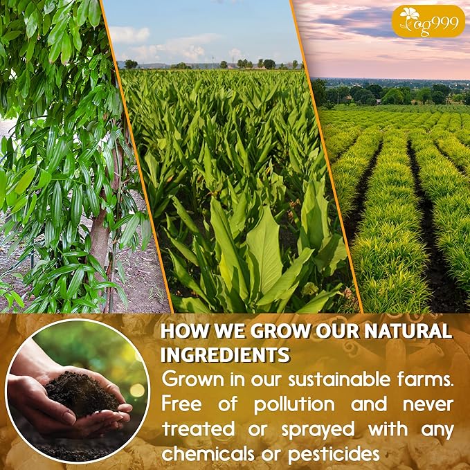 TOG999, 60 Bags Premium Turmeric Ginger Cinnamon Tea. Upgraded Version. Improve Digestion, Support Brain, Weight, Skin and Sleep. Eco-Conscious Tea Bags. No Sugar, No Caffeine, No Gluten, Vegan.