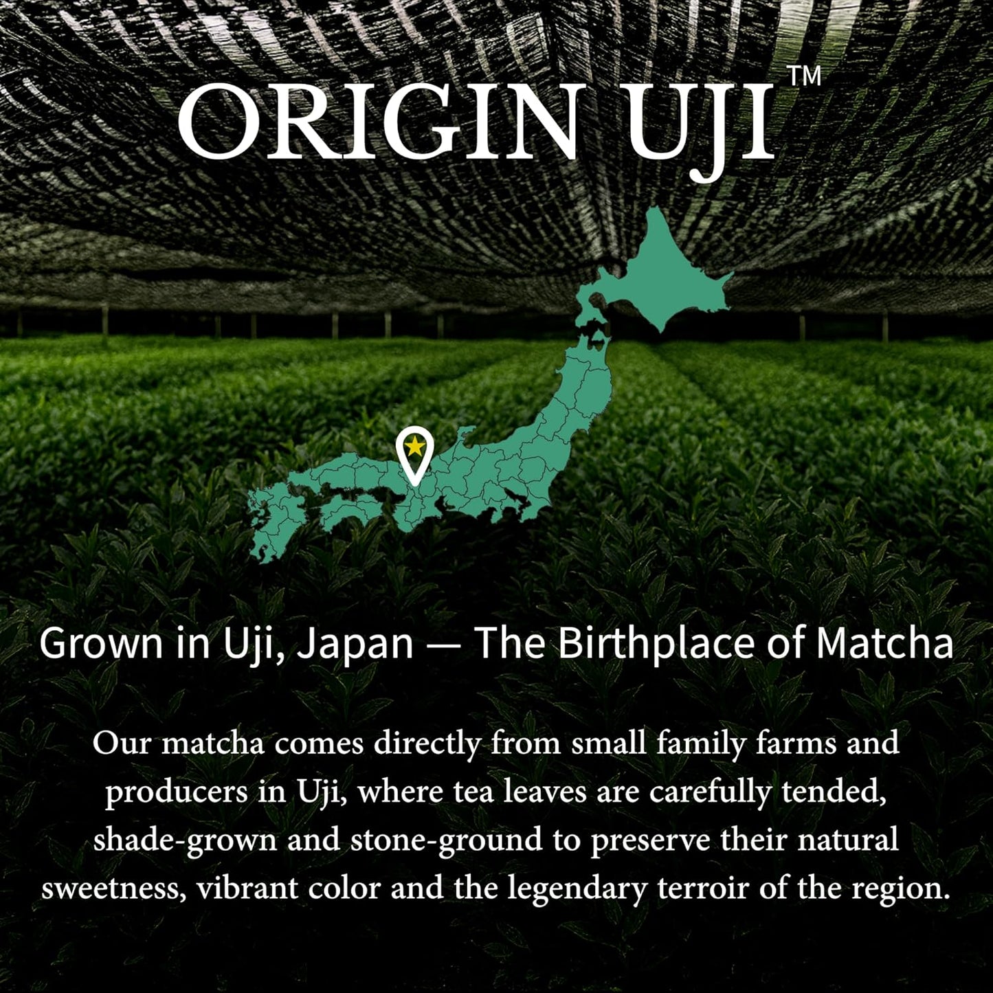 Extra Superior Ceremonial Matcha - Gekkou Blend, First Harvest, Stone-Ground from Uji, Kyoto, Japan