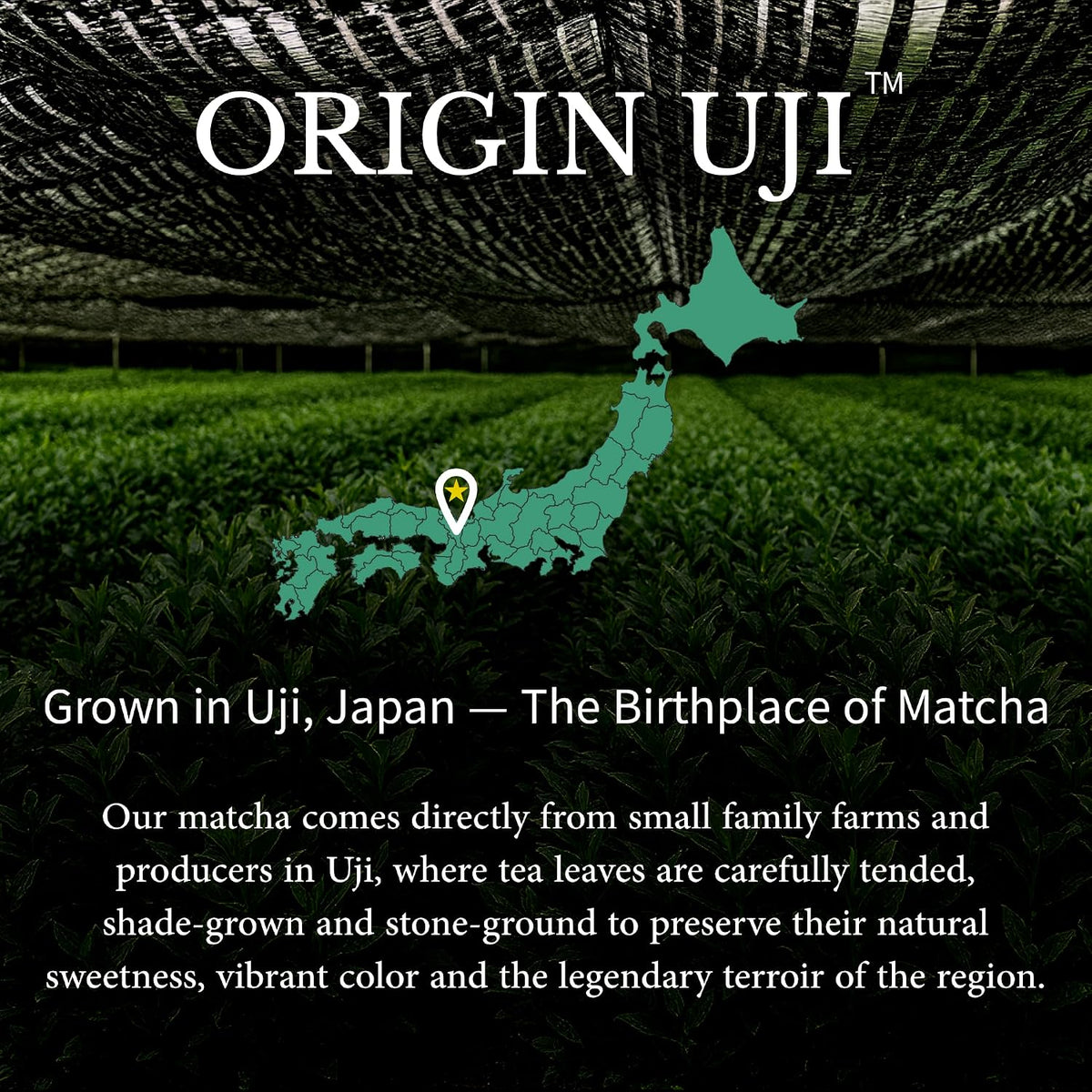 Origin Uji Extra Superior Ceremonial Matcha - Gekkou Blend, First Harvest, Stone-Ground from Uji, Kyoto, Japan