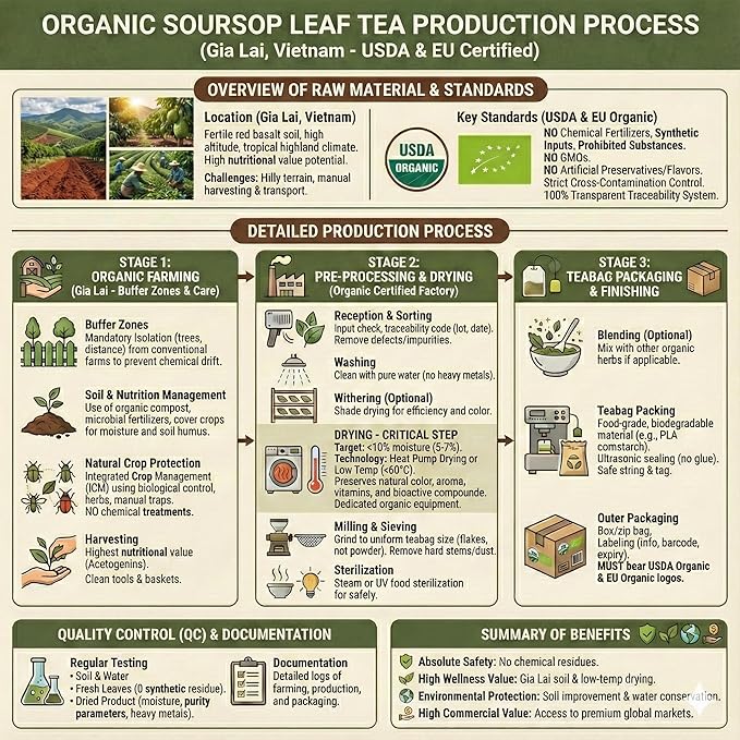 USDA Organic Soursop Leaves Tea Bags, 100% ORGANIC and Pure Soursop Graviola Leaves - Hojas De Guanabana Tea - Non-GMO - Caffeine-free - Improve Digestion, Support Healthy Skin & Sleep, Eco-Conscious Corn Fiber Tea Bags. Organic Graviola Tea