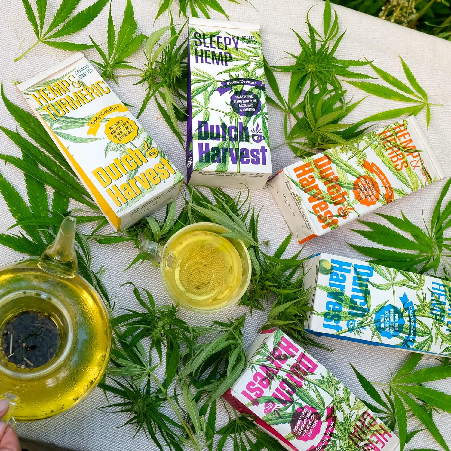 Dutch Harvest Organic Hemp Tea Variety Pack – 5 Flavors – 5 Pouches of Loose-Leaf Herbal Tea – 5 x 40 Cups – Caffeine-Free, Vegan, Biodegradable Packaging