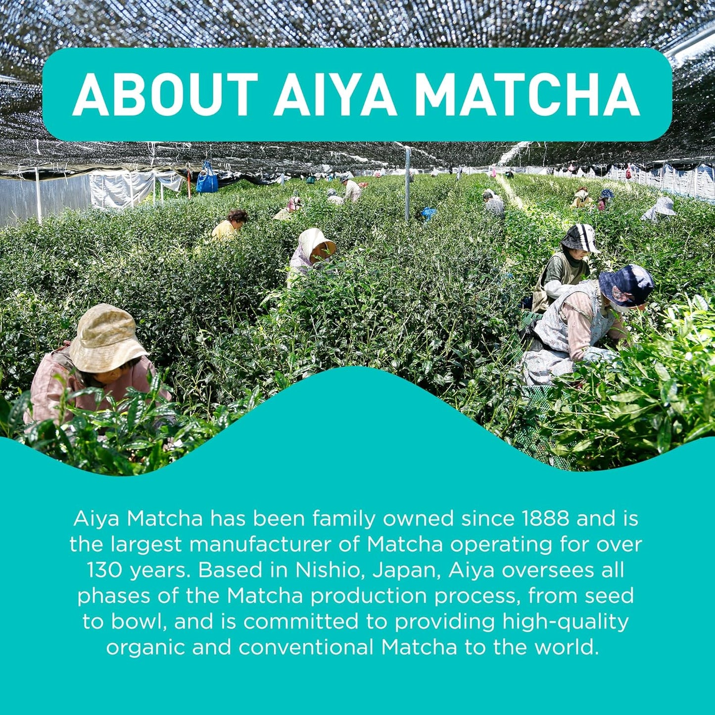 Aiya Japanese Sweetened Matcha Powder to Go Sticks - Ceremonial Grade, Vegan-Friendly, Gluten-Free - 8 Individually Packed Single-Serving Sticks for Freshness and Convenience