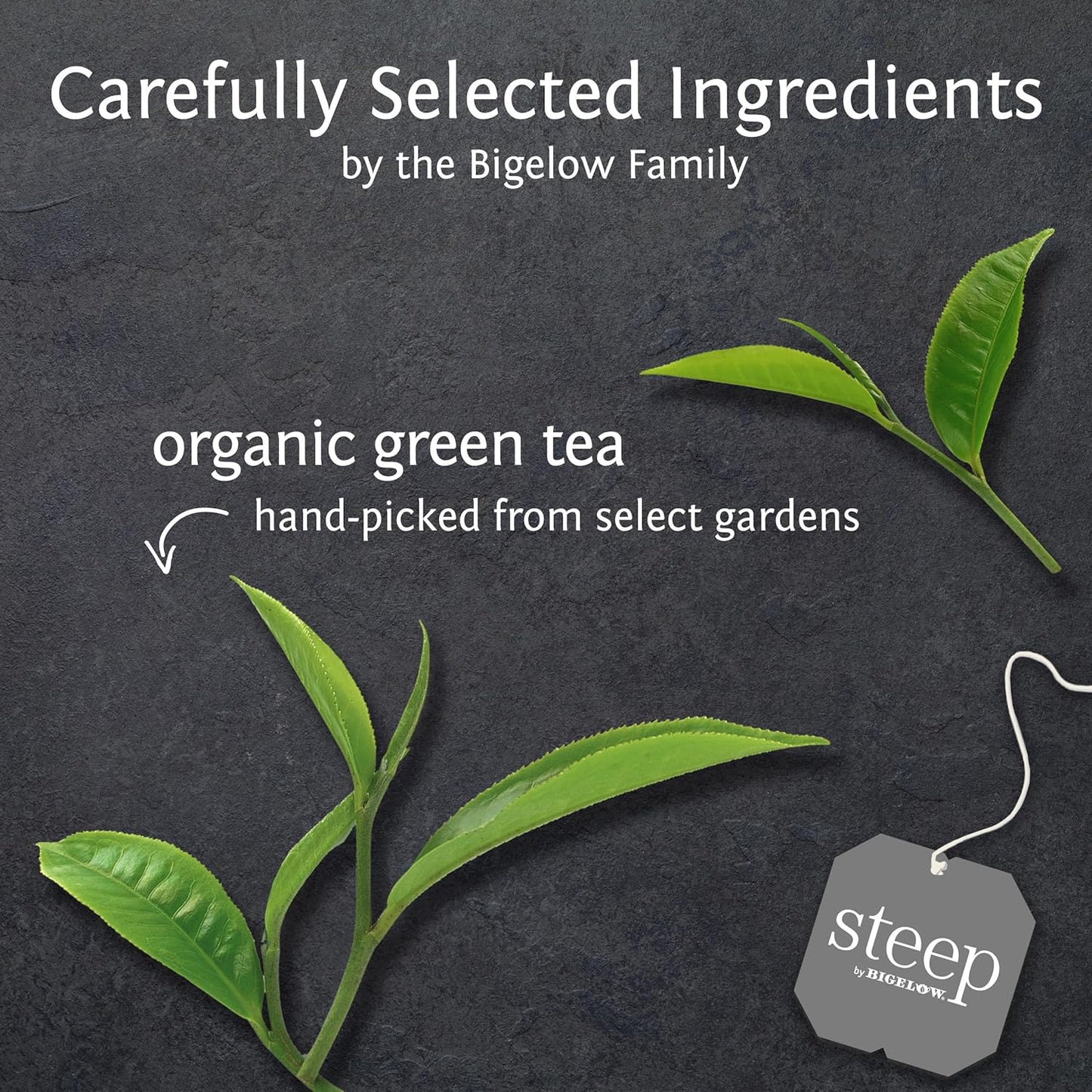 steep Organic Pure Green Tea, Caffeinated, 20 Count (Pack of 6), 120 Tea Bags Total