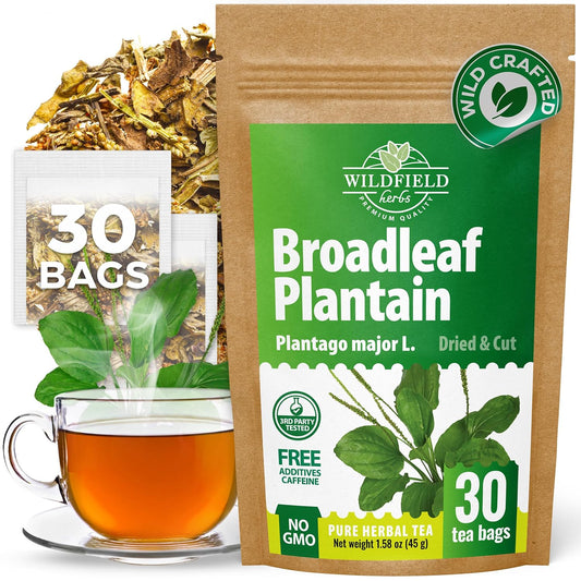 30 Bags Plantain Leaf Herb Tea Dried Plaintains Leaves (Plantago Major) - 30 Count 2g Tea Bags Greater Broadleaf Plantain