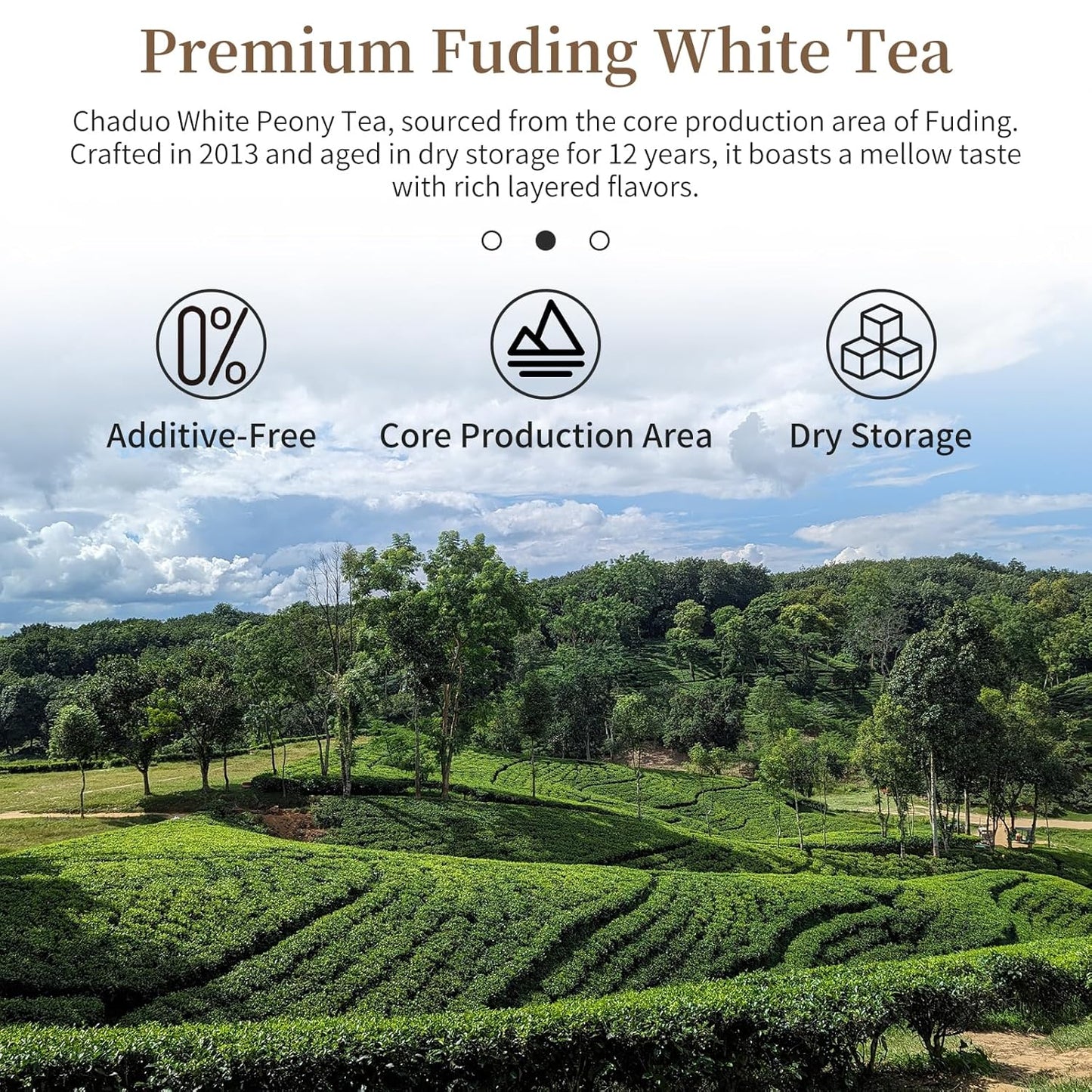 CHADUO White Peony Tea Authentic Fuding White Tea 2013 Crafted Intertwined Floral & Honeyed Aromas 5.29oz/150g Bai Mudan Chinese Tea 白牡丹龙珠 福鼎白茶 白茶