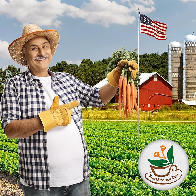 TeaDreamTea – Carrot Hibiscus Rosehip - Loose Leaf Herbal Bulk Tea - Caffeine-Free - Vitamins Rich - Boost Immune System - Carrot Raw from USA