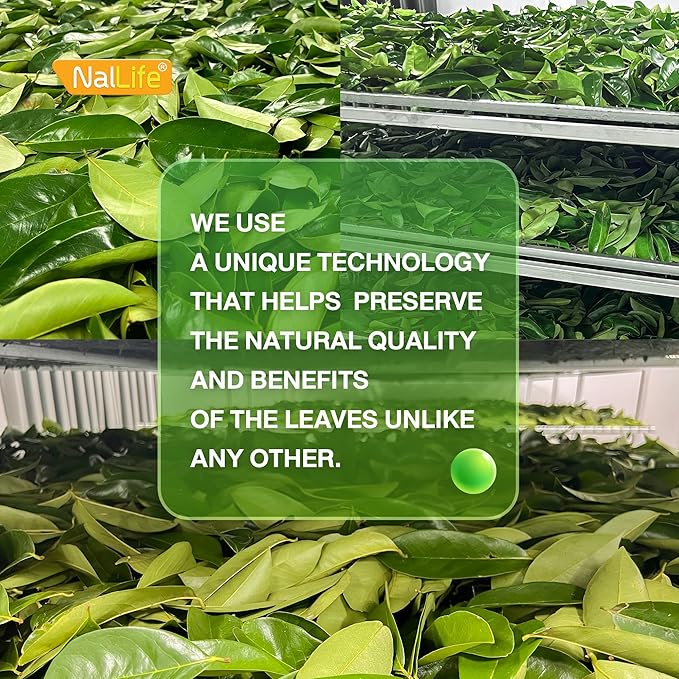 NalLife Soursop Leaves Tea pack of 50 Tea Bags