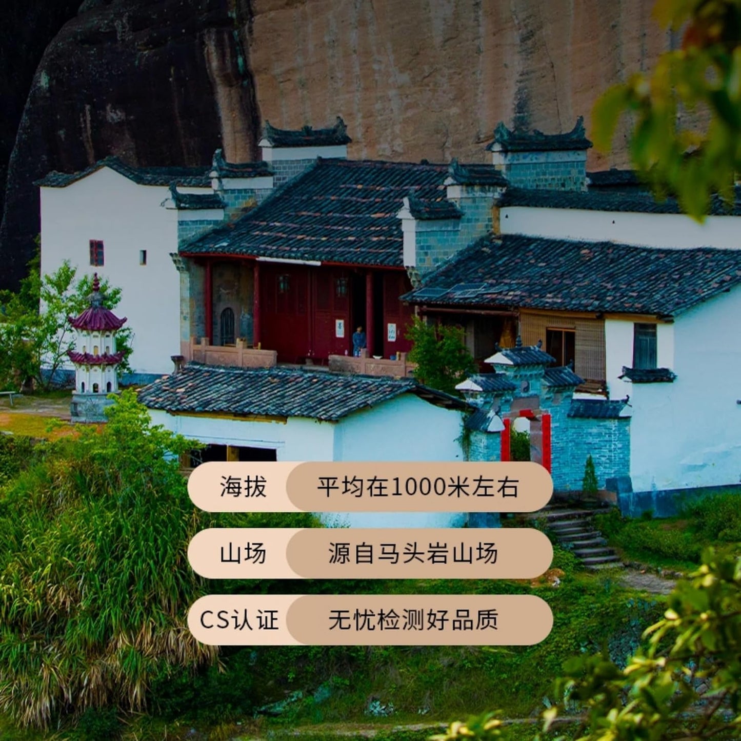 武夷岩茶– Ma Tou Yan Rou Gui, Osmanthus Aroma, 100g (Black Tin)