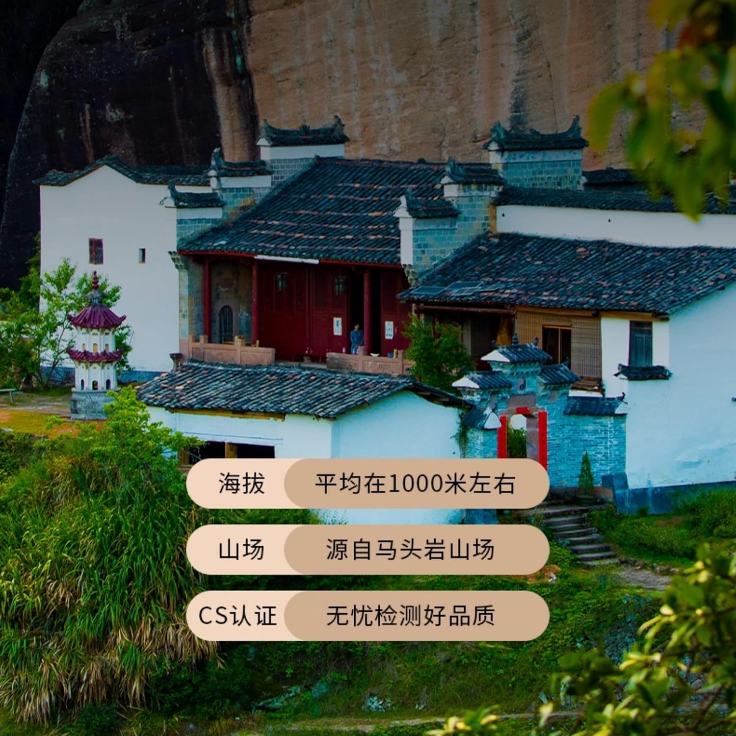 武夷岩茶– Ma Tou Yan Rou Gui, Osmanthus Aroma, 100g (Black Tin)