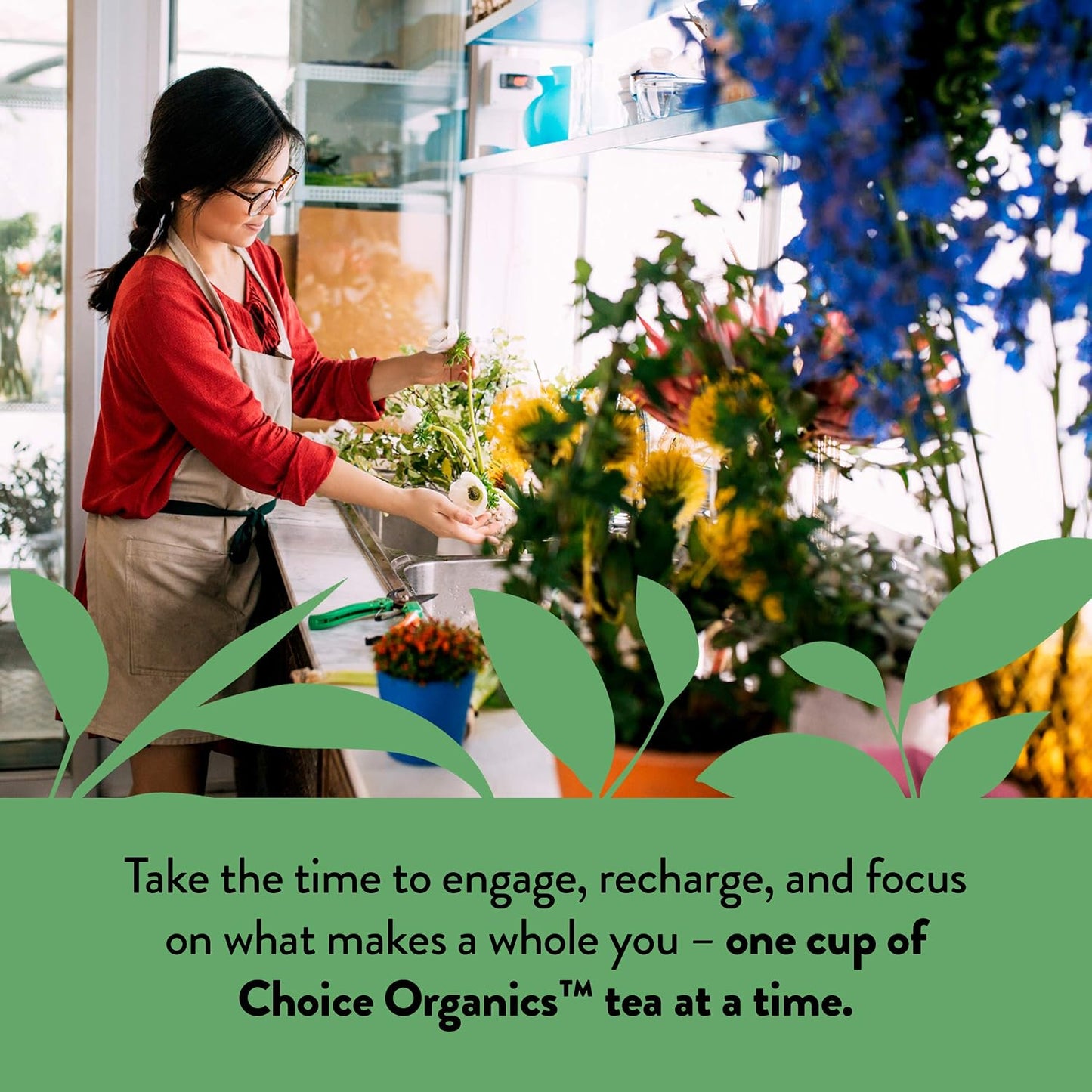 Choice Organics Japanese Green Tea, 16 Tea Bags (3 Pack) | Compostable Tea Bags, USDA Organic,Vegan and Non-GMO Verified, Naturally Caffeinated for Daily Brewing
