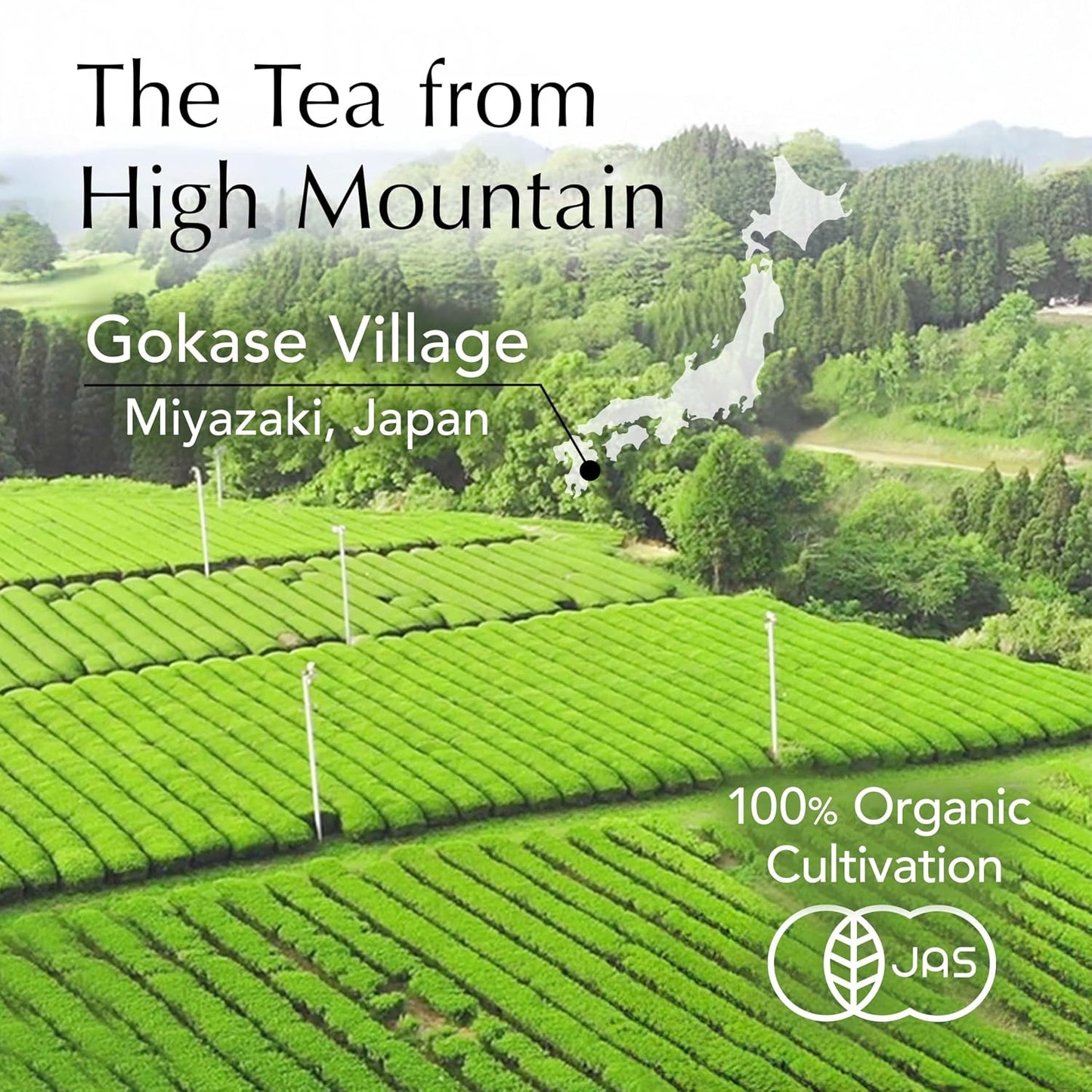 YAMASAN KYOTO UJI Oolong Tea Loose Leaf Japanese Organic 100g Bag | Authentic Premium Japanese Oolong Loose Tea Leaves, Fragrant Flavor, Pure ＆ Additive-Free, Unsweetened, Made in Japan 100g