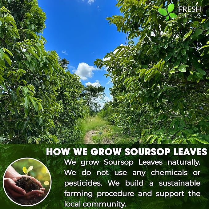 4.5oz Premium Soursop Leaf Powder – 100% Pure & Natural, Graviola Leaves for Tea, Handmade, Cake Color Making, Non-GMO, Caffeine-Free, No Additives