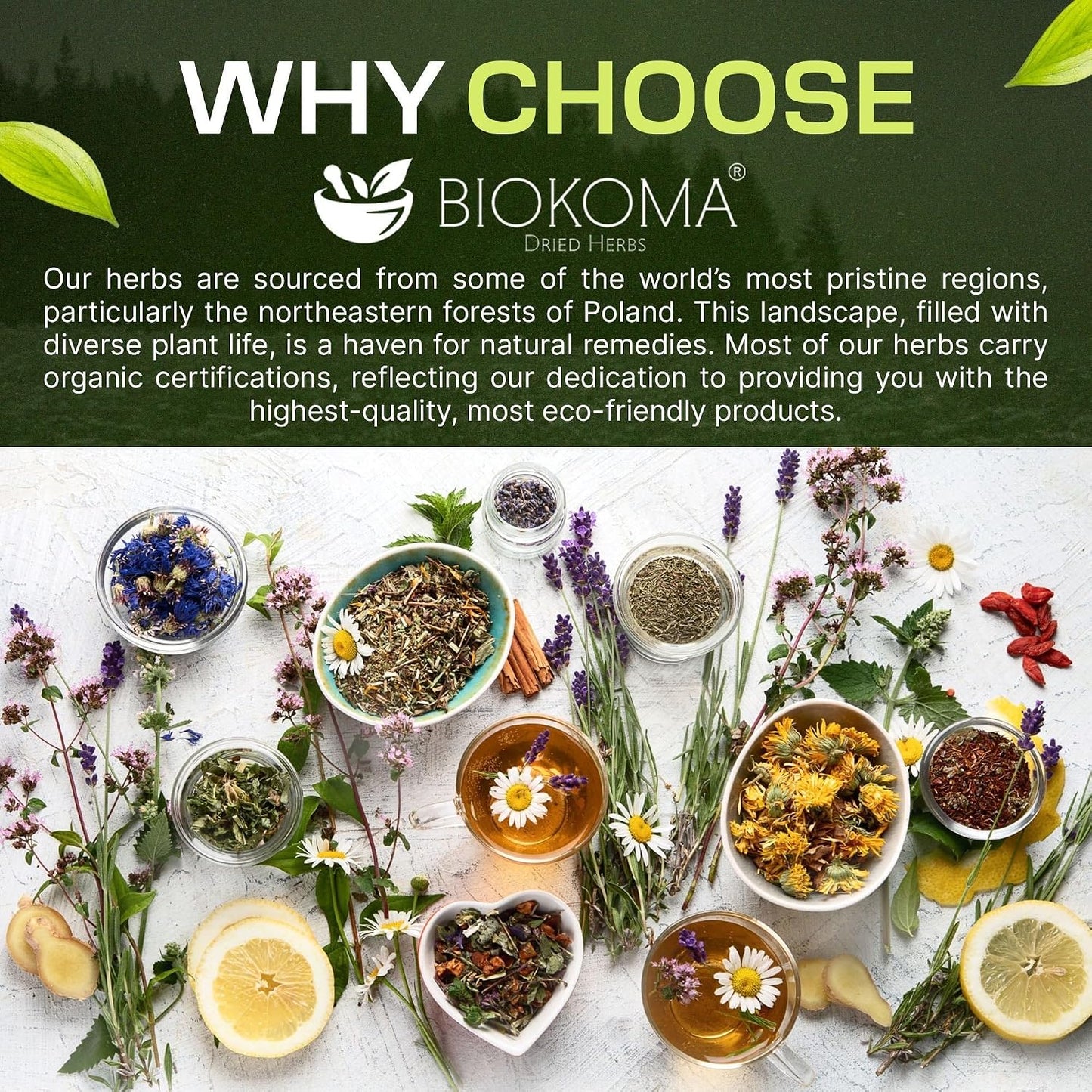 Biokoma Organic Milk Thistle Seeds 3.55 oz, Silybum Marianum for Milk Thistle Tea, USDA Organic Herbal Tea, Loose Whole Seeds in Resealable Moisture Proof Pouch, Non GMO, No Additives, Kosher