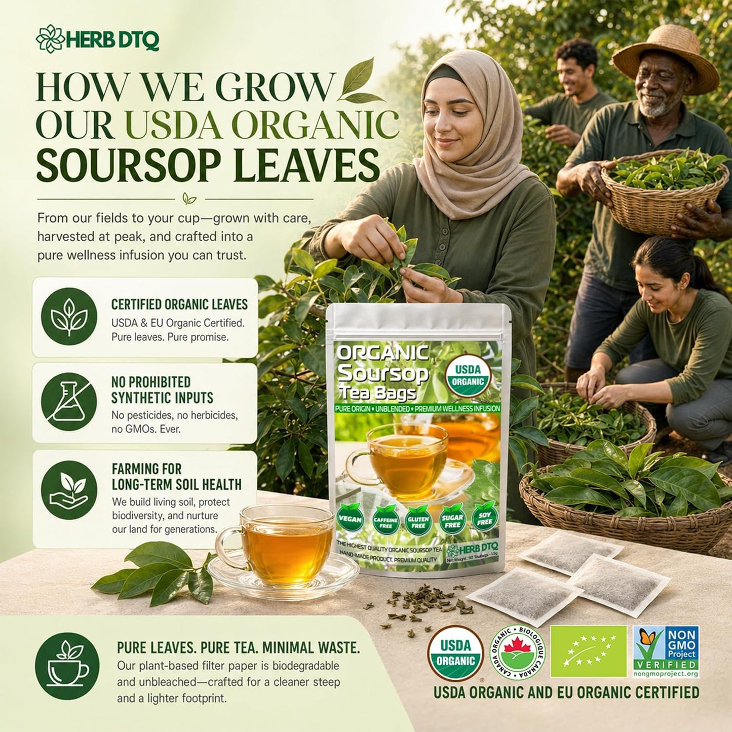 HERB DTQ USDA 100% Organic Soursop Graviola Leaf Tea Bags, Non-GMO, 75 Ct | Eco-Conscious Sachets, Sour Sop, Hojas de Guanabana, Vegan, Caffeine-Free, Sugar-Free, Gluten-Free, Sleep &amp; Digestion Support