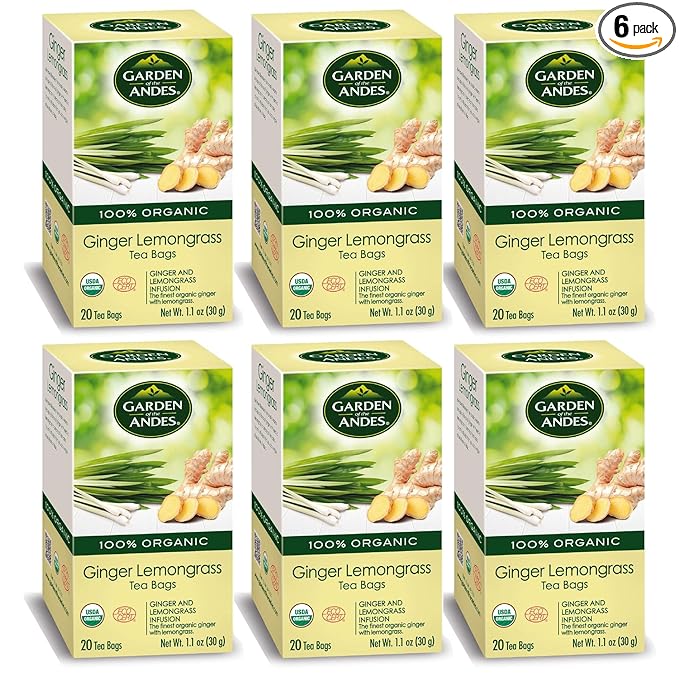 Garden of the Andes - Organic Ginger Lemongrass Tea - 20 Tea Bags/Box, Pack of 6 (120 ct.) - Caffeine-Free Herbal Infusion