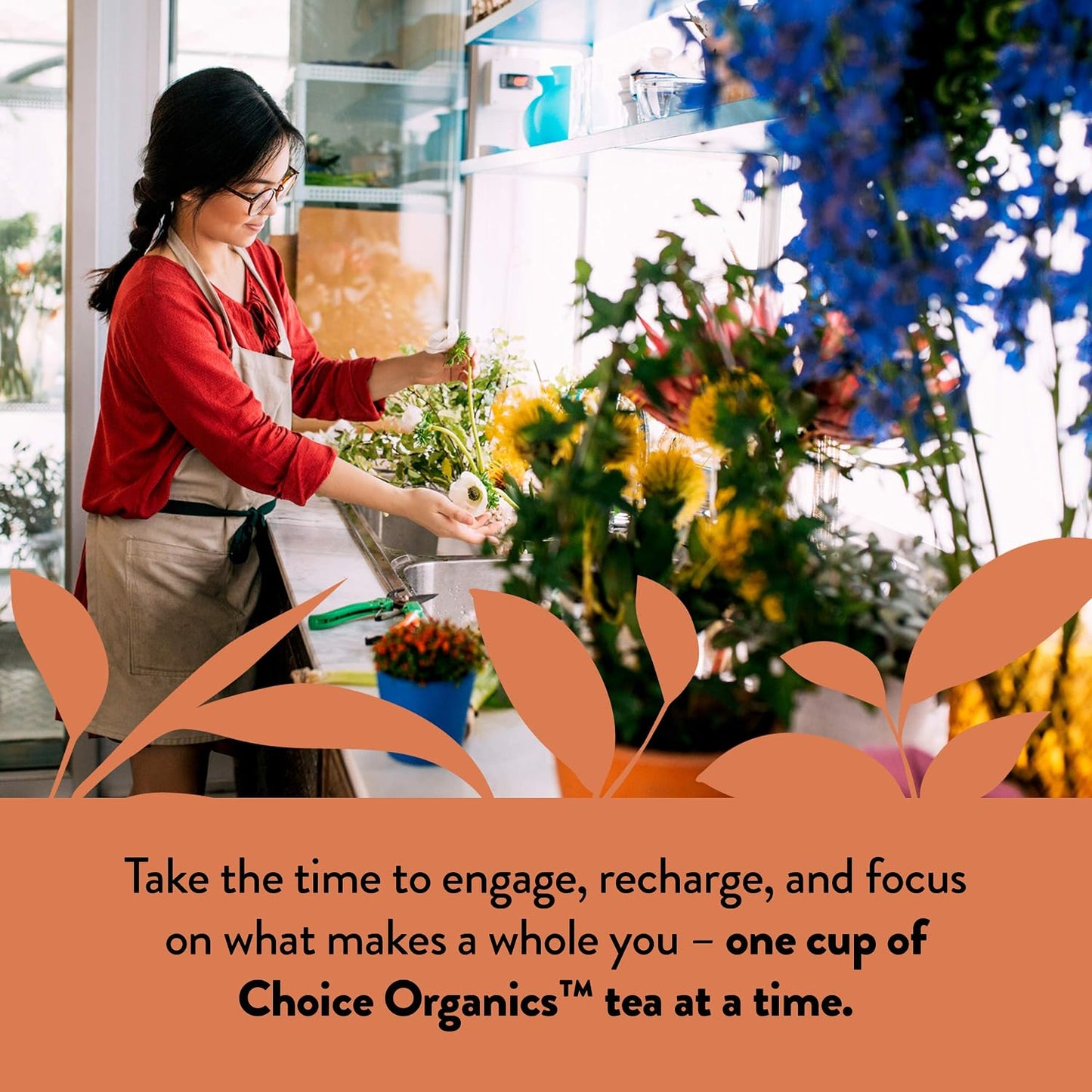 Choice Organics Oolong Tea, 16 Tea Bags (3 Pack) | Compostable Tea Bags, USDA Certified Organic, Vegan and Non-GMO for a Smooth Aromatic Everyday Cup
