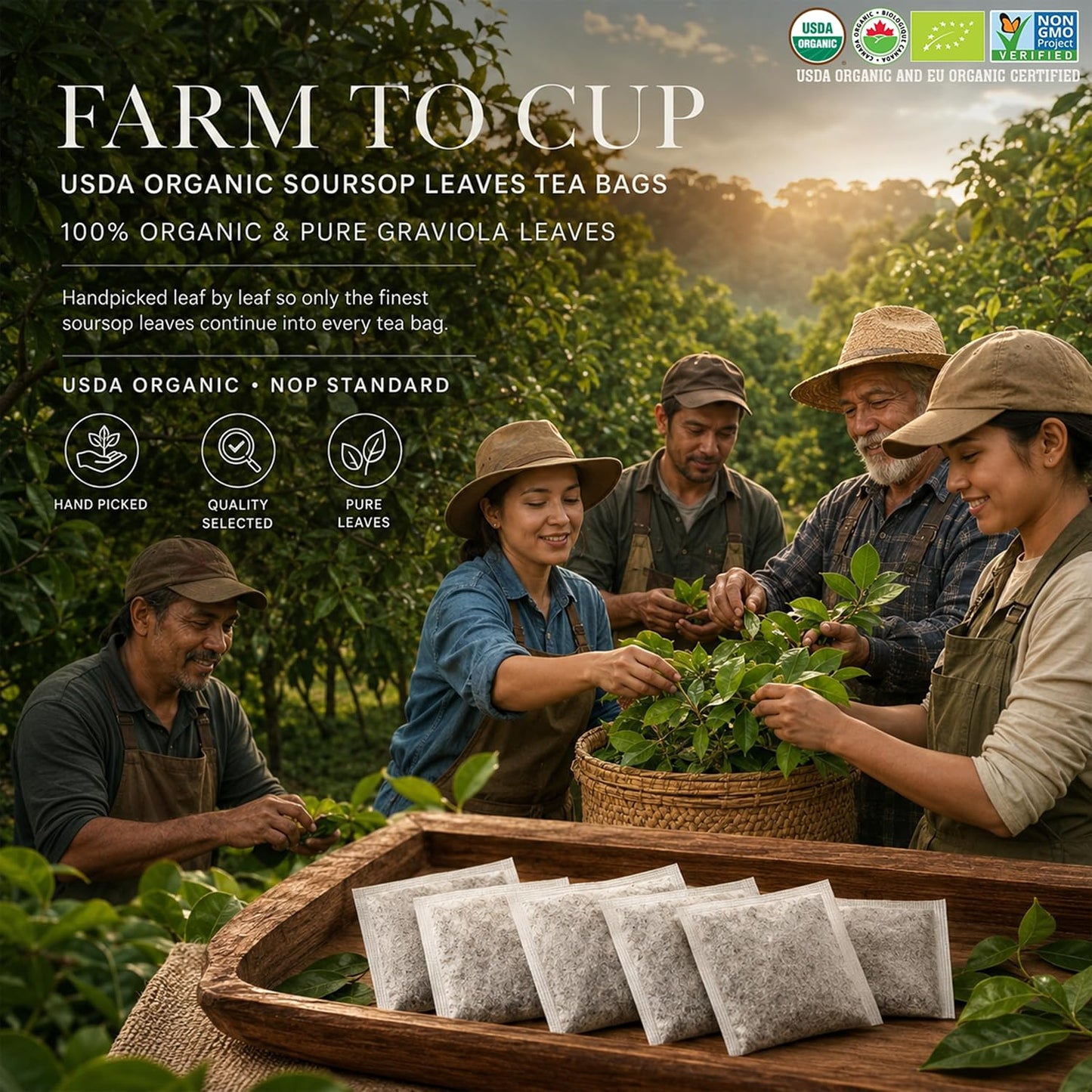 HERB DTQ USDA 100% Organic Soursop Graviola Leaf Tea Bags, Non-GMO, 110 Ct | Eco-Conscious Sachets, Sour Sop, Hojas de Guanabana, Vegan, Caffeine-Free, Sugar-Free, Gluten-Free, Sleep &amp; Digestion Support