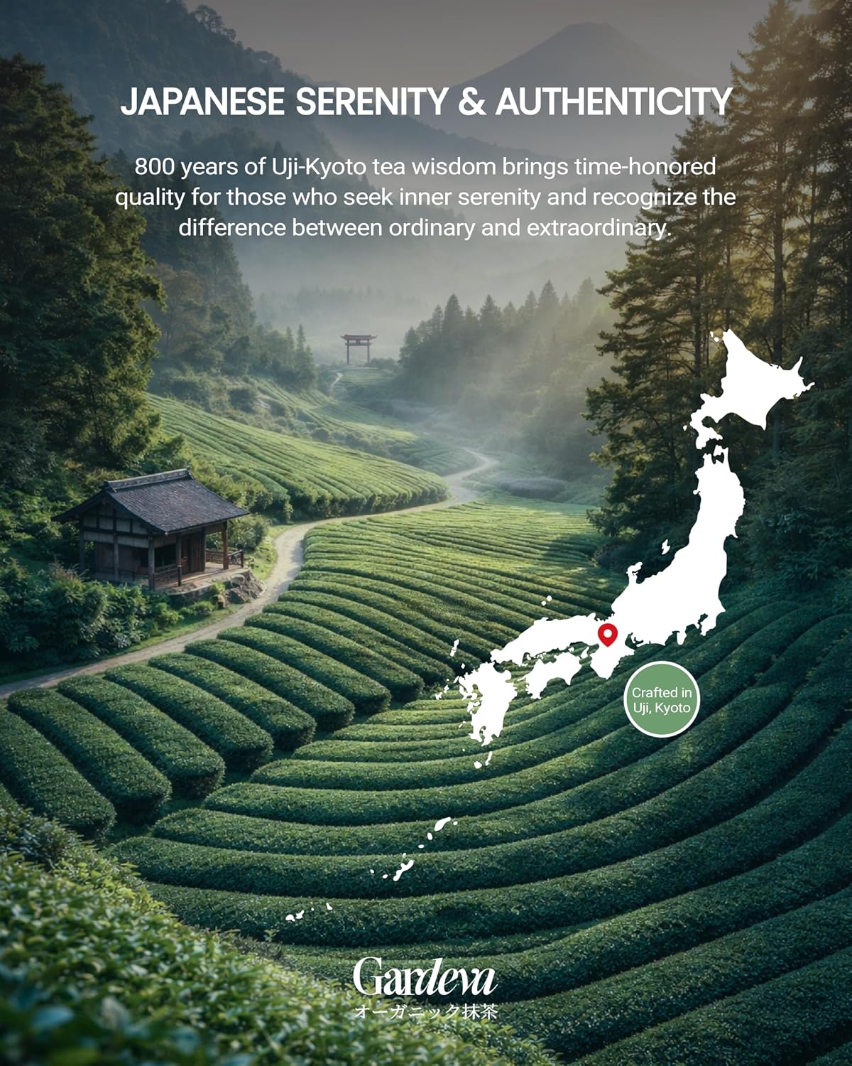 Gardeva Organic Japanese Ceremonial Grade Matcha - 100% Pure Green Tea Powder, USDA Certified, First Harvest, Authentic Origin From Uji, Kyoto (40g / 1.4oz Tin)