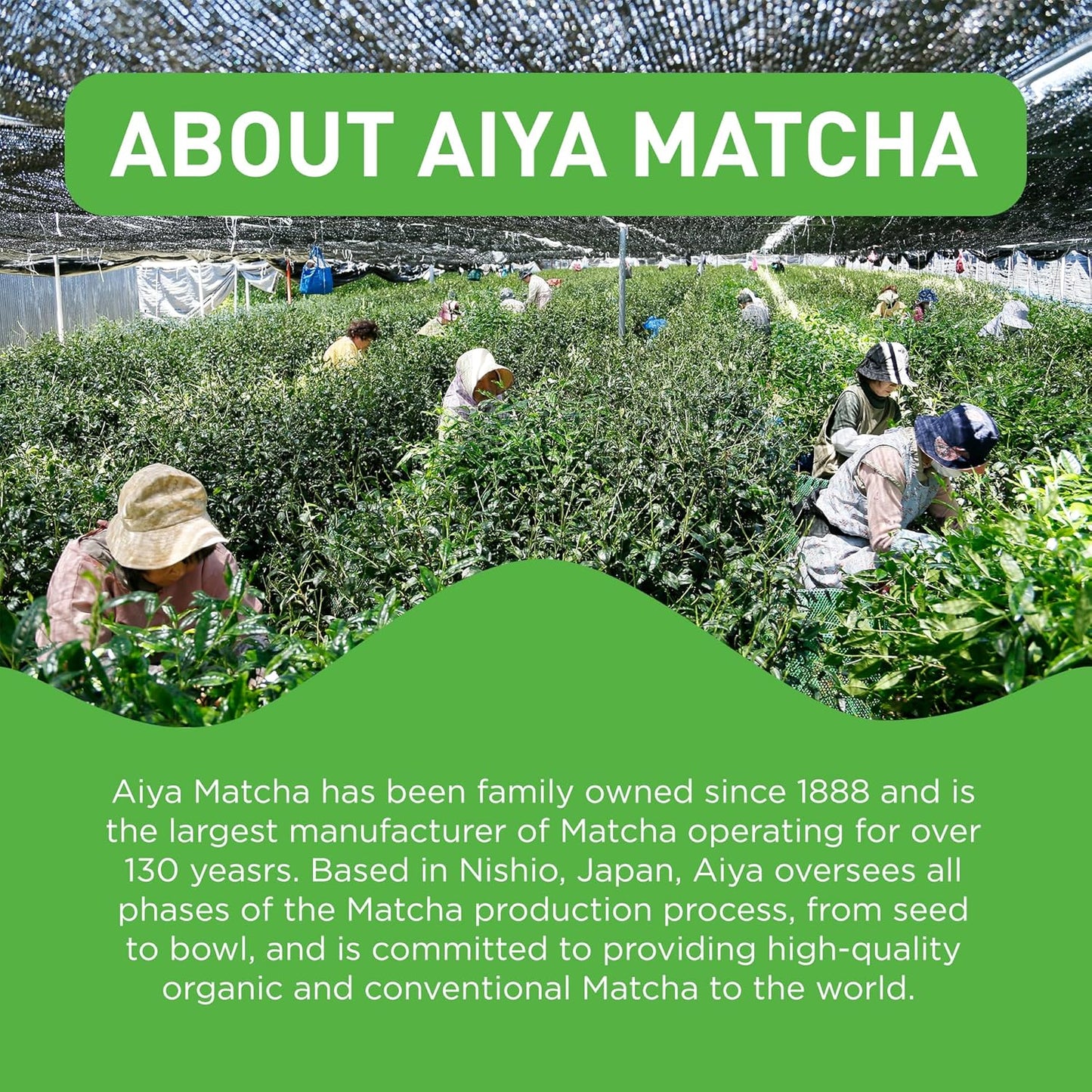 Aiya Matcha To Go Single Serve Packs - Ceremonial Grade Pure Matcha Green Tea Powder (10 Count)