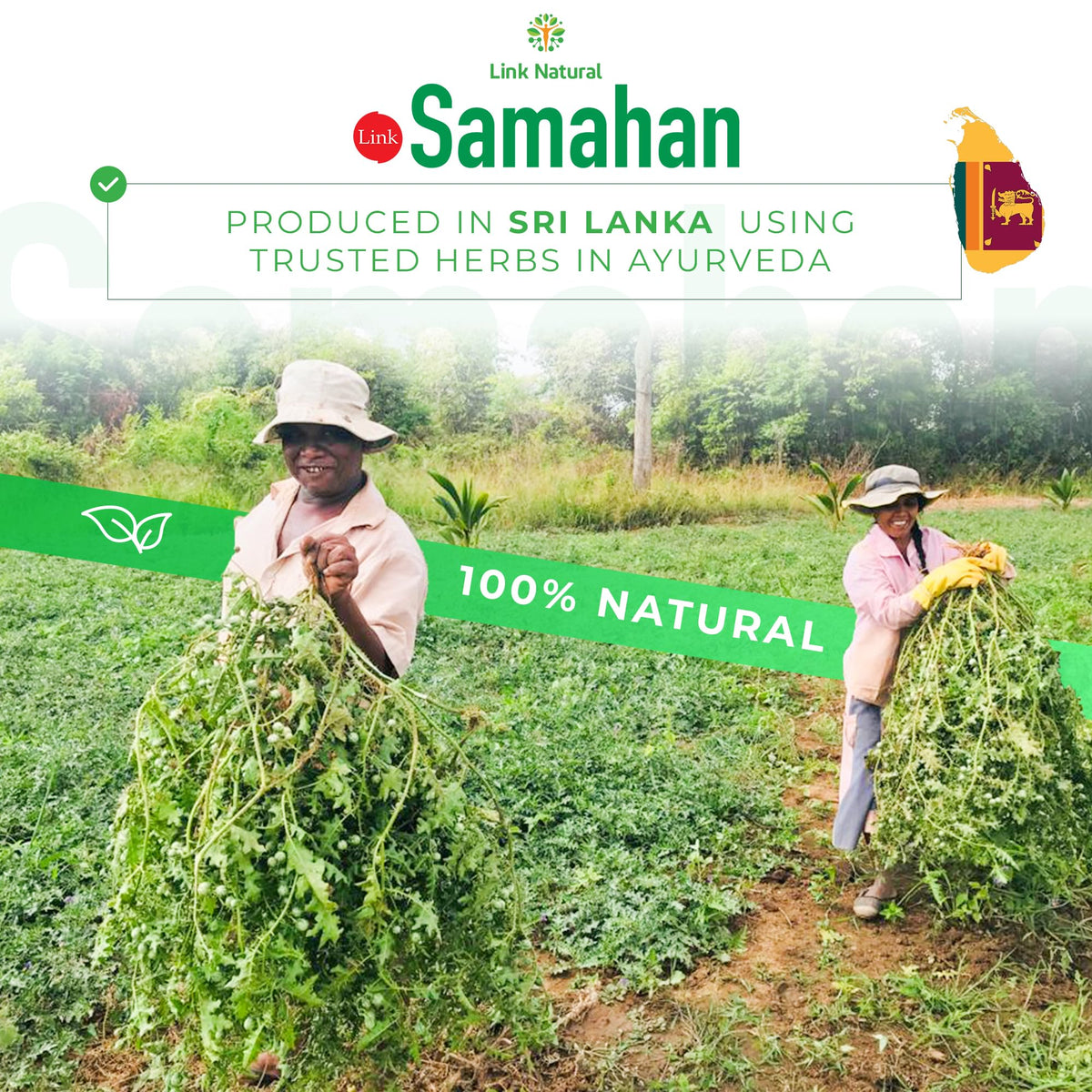 LINK SAMAHAN SAMAHAN Ayurvedic Herbal Tea Packets - Sri Lankan Ceylon Blend with 14 Natural Herbs Including Ginger, Black