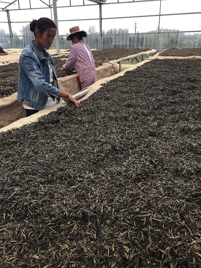 MeiMei Fine Teas - Yunnan Golden Buds Gongfu Black Tea Top Grade Dian Hong Jing Ya - Chinese Loose Leaf - Mellow Malty Floral Peach Melon Creamy (50g/1.76oz)