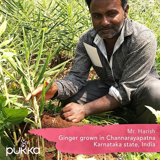 Pukka Elderberry & Echinacea Organic Herbal Tea, Perfect for Wellness Support, Caffeine Free, 20 Total Tea Bags