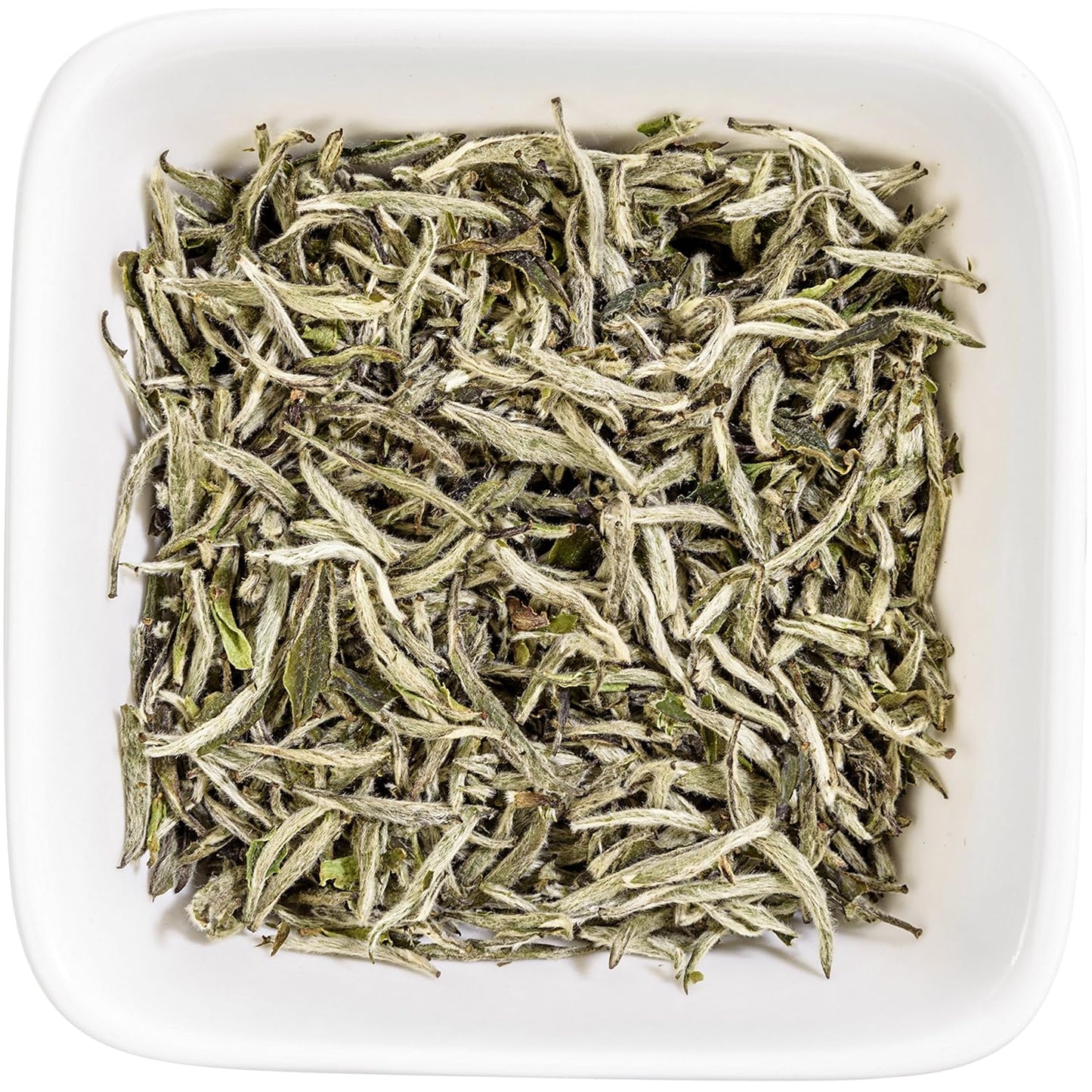Tealyra - Premium White Silver Needle Loose Leaf Tea - Bai Hao Yinzhen - Fujian China - Superior Chinese Silver Tips - Caffeine Low - 110g (4-ounce)