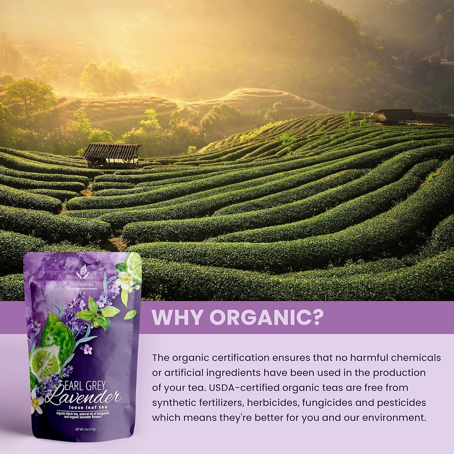 Gardenika Organic Earl Grey Loose Leaf Tea with Lavender and Bergamot Oil, Caffeinated Black Leaves, Kosher, No Natural or Artificial Flavors - 4 oz